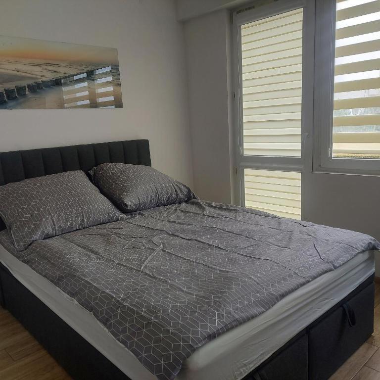 Apartament Mira 热舒夫 外观 照片